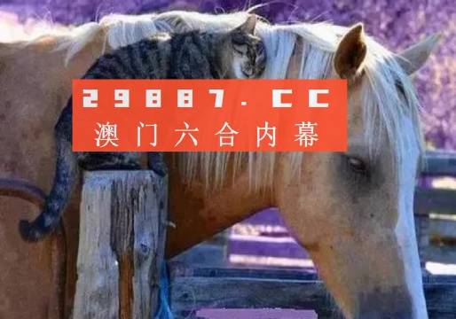 网页创意